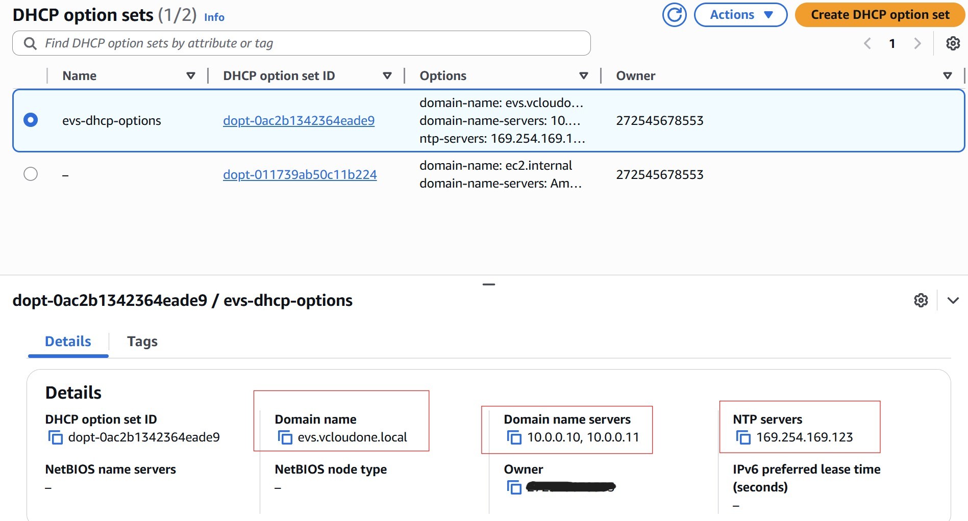 DHCP Options Set configuration for EVS