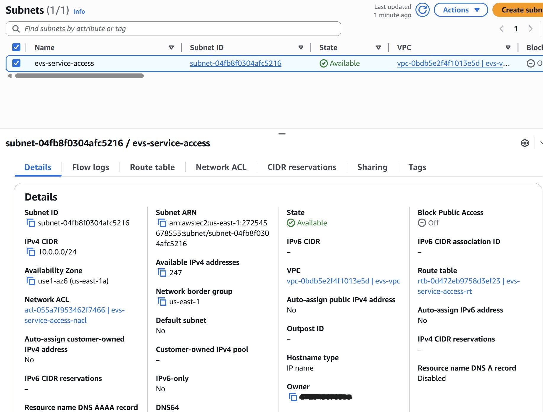 Service Access Subnet configuration in AWS console
