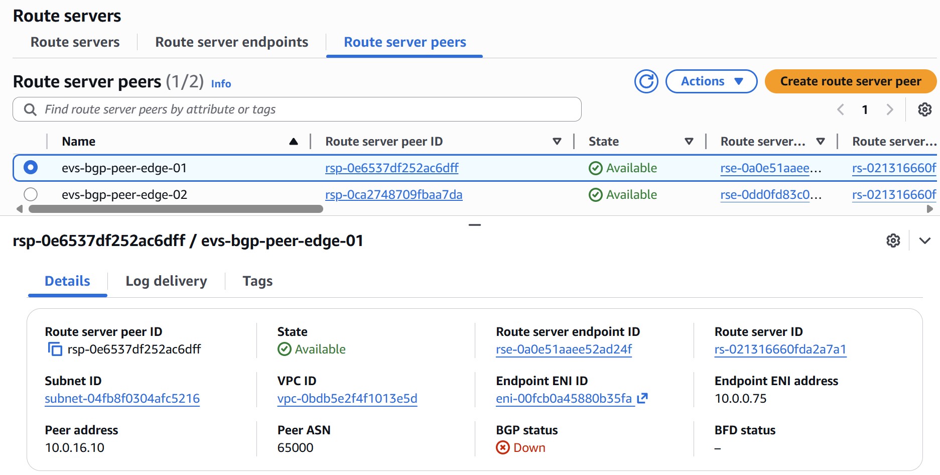 Route Server endpoint peering configuration