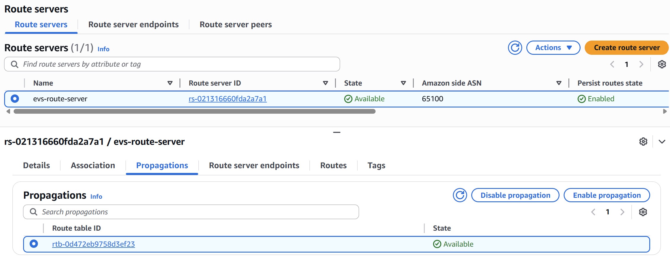 Route Server route propagation to service access route table